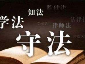 深圳免费法律咨询指南 专业知识产权、商务纠纷与婚姻家庭关系解析