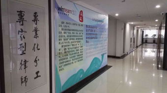 专业法律服务全解析 咨询、代理与非诉事务