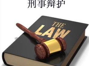 天津刑事辩护律师 专业咨询与法律保障的桥梁